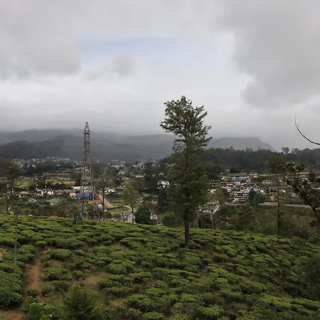 The Mount View Single Tree * Nuwara Eliya