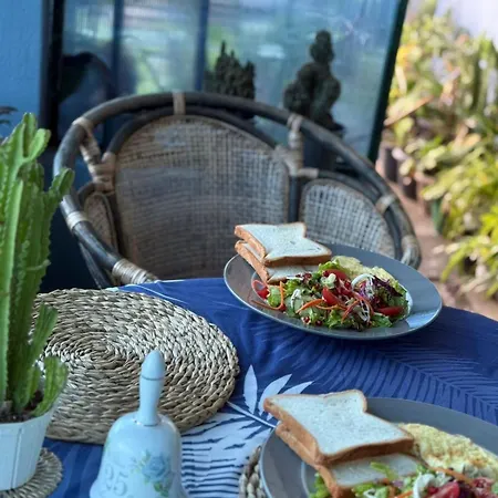 Homestay Succulent