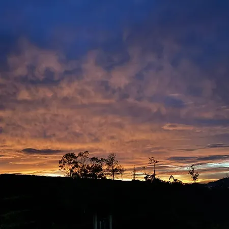 Succulent Nuwara Eliya