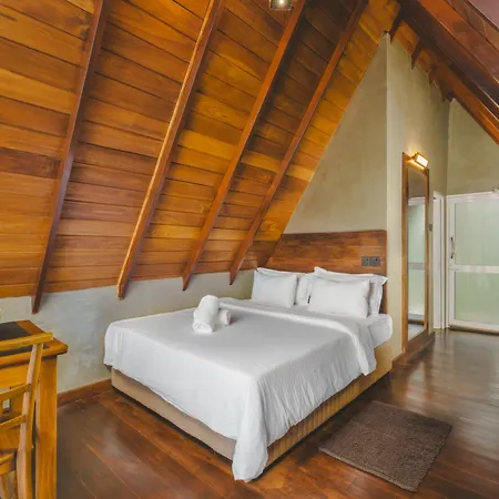 Bellevue By Pushella Hotel *