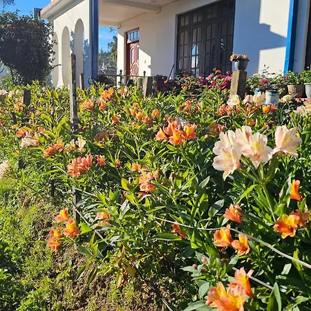 Aurora Guest house *