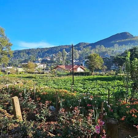 Guest house Aurora Nuwara Eliya