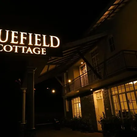 Bluefield