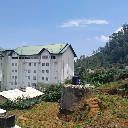 Three Seven Hotel
