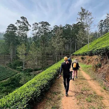 Evermist * Nuwara Eliya