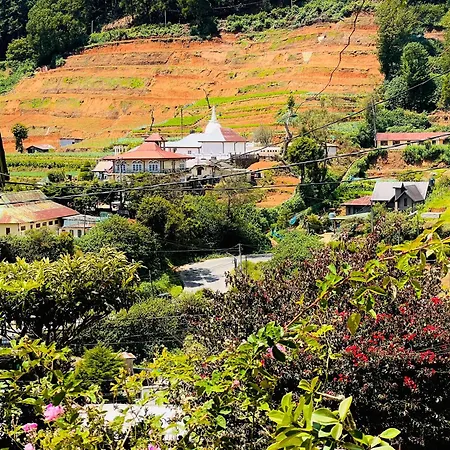 Hill Side View