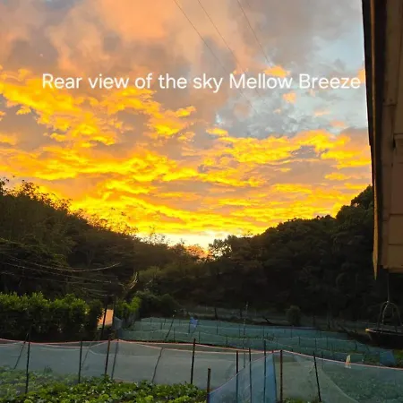 Guest house Mellow Breeze Nuwara Eliya