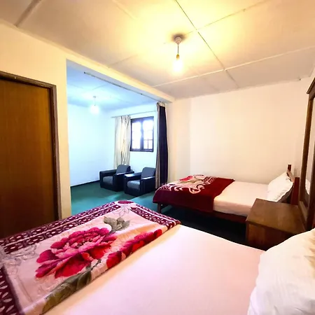 Panthera Guest house *