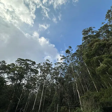 The Woodside Manor Nuwara Eliya