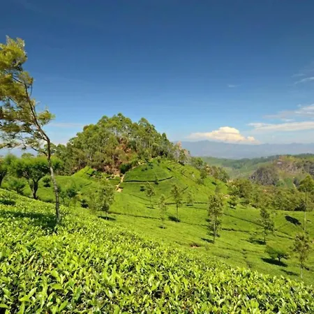 Guest house Evermist Nuwara Eliya