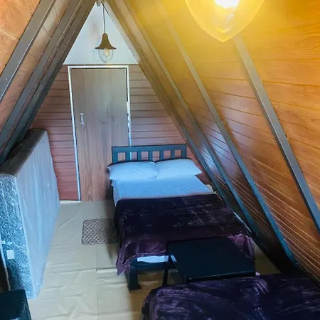 Hostel Puremind *