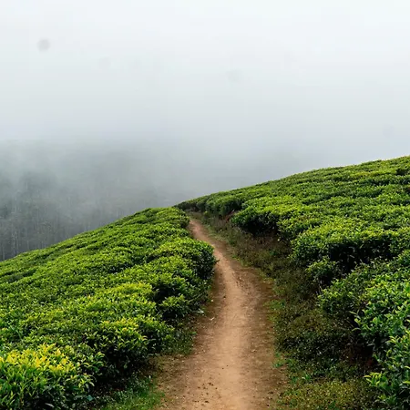 Hillcroft * Nuwara Eliya