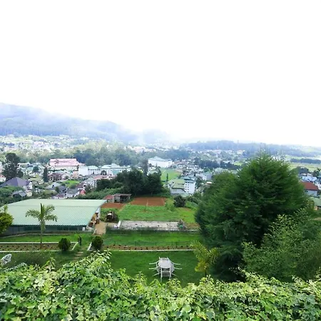 Ashley - Guest house *