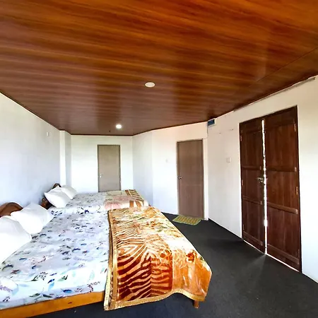 Panthera Guest house *