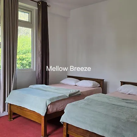 Guest house Mellow Breeze *