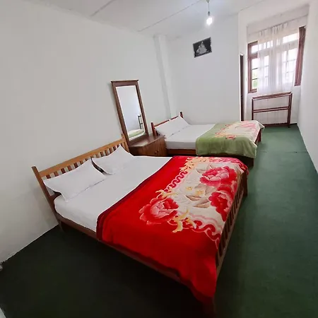 Panthera Guest house *