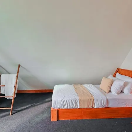 Evermist Guest house *