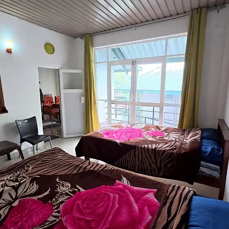 Shenul Apartment *