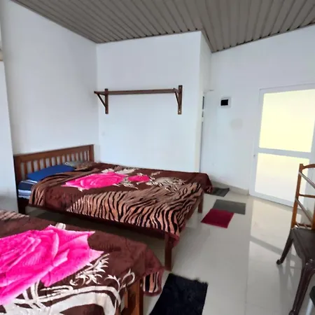 Apartment Shenul