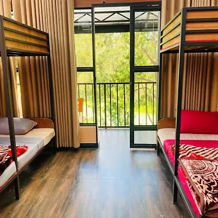 King Fern Guest house *
