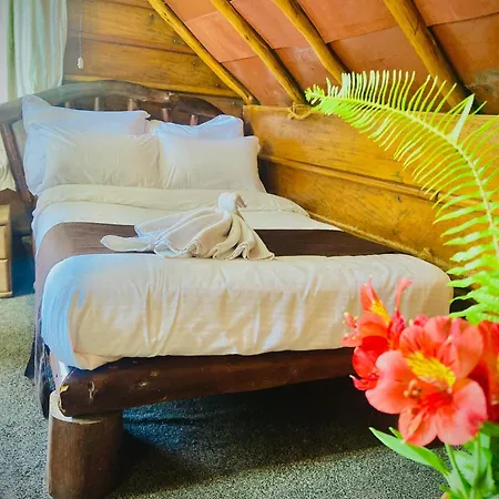 Hotel The Frost 3*