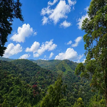 Meena Ella Estate *
