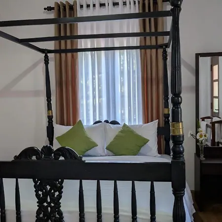 Cozy Guest house *