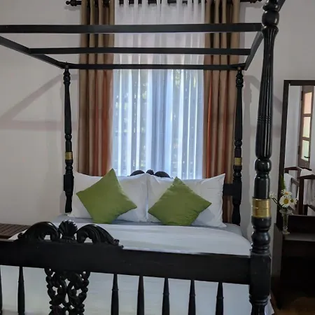 Cozy Guest house