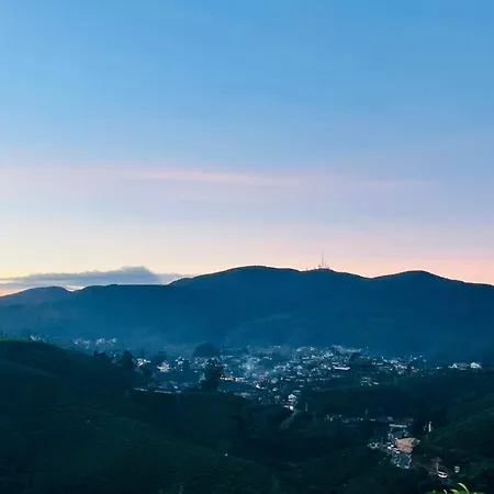 Mount View