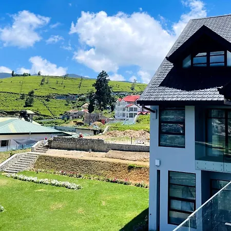 Tea Plant * Nuwara Eliya