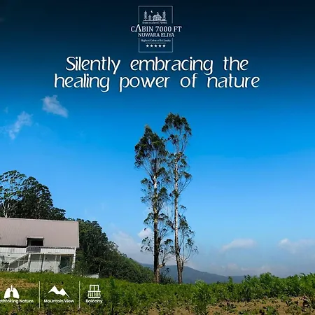 7000 Feet - A Cozy Mountain View Retreat In Chalet Nuwara Eliya