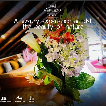 7000 Feet - A Cozy Mountain View Retreat In Chalet *