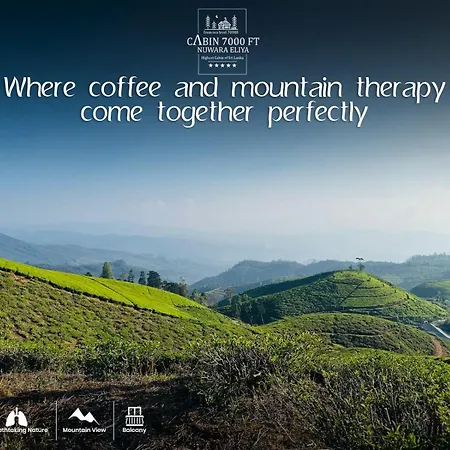 7000 Feet - A Cozy Mountain View Retreat In Chalet Nuwara Eliya