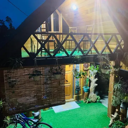 Homestay 20/20 Wood