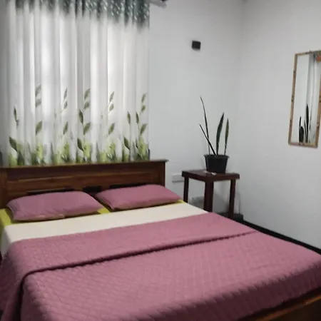 Homestay S And D *