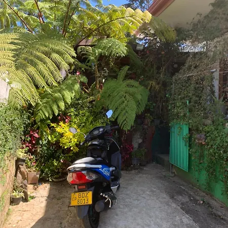 2020 Wooden Homestay