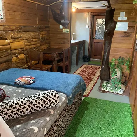 Homestay 2020 Wooden *