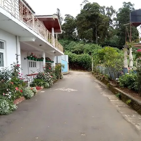 Olive Grand Guest house