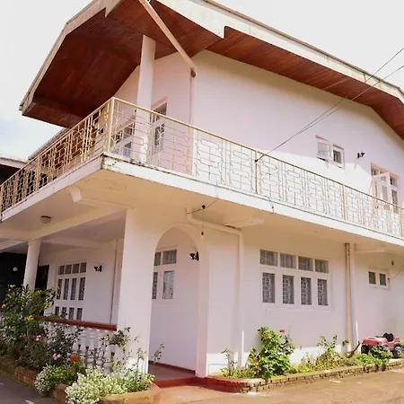Guest house Olive Grand 3*