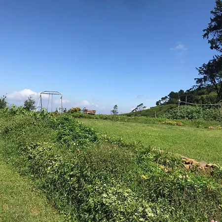 Fair Field *