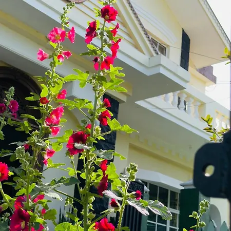 Grand Nauro Homestay *