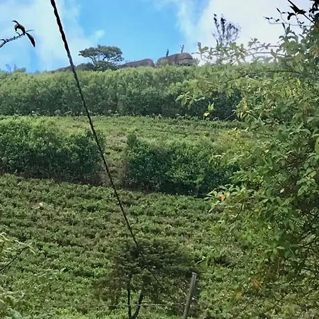 Fair Field Nuwara Eliya