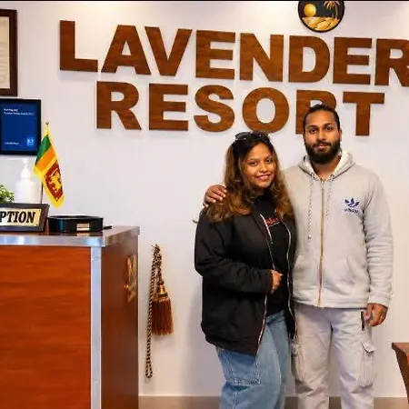 Hotel Lavender & Wood 4*