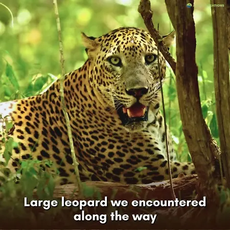Ambewela Rangers