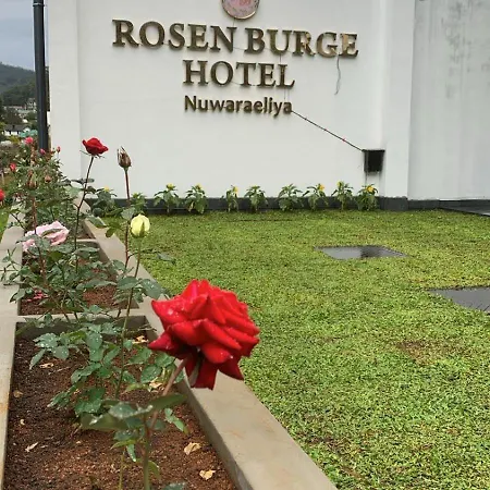 Rosen Burge Nuwaraeliya * Nuwara Eliya