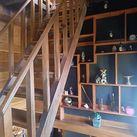 Rc Quirky Wood House