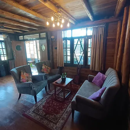 Rc Quirky Wood House