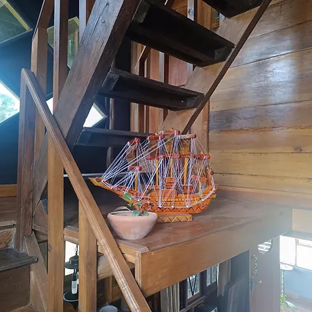 Rc Quirky Wood House