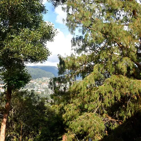 Forests Heaven Guest house *