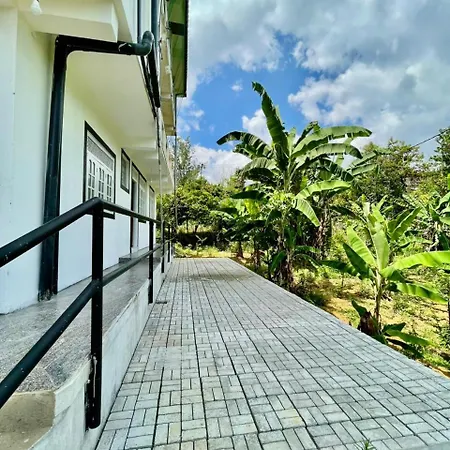 Villa Elegant Mist *